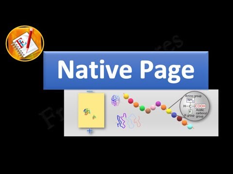 Video: Verschil Tussen SDS-pagina En Native Pagina
