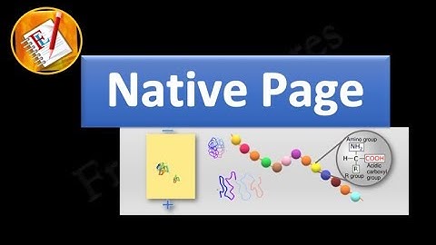 NATIVE PAGE