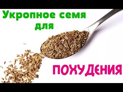 Укропное семя для похудения и снижения давления