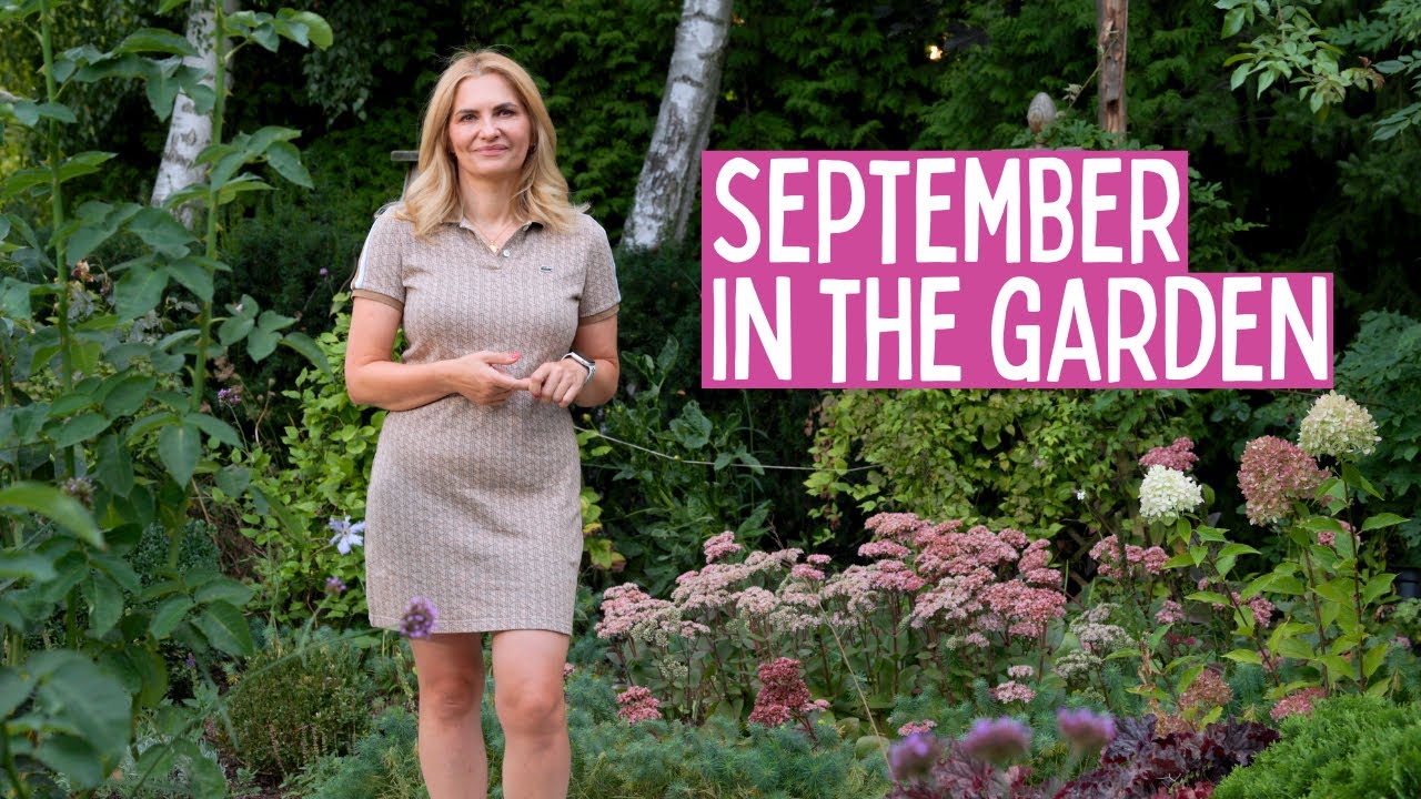 Основные садовые работы в сентябре: обрезка, удобрение и планирование на следующий год