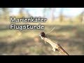 Marienkäfer Flugstunde