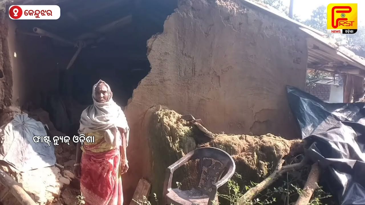 Elephants vs. Houses: The Wildest Housing Crisis Ever!