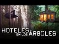 Hoteles en los árboles | Somos Curiosos