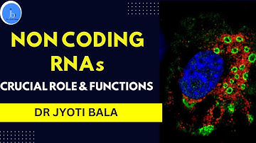 NON CODING RNA: Essential Role and Functions| Noncoding RNA: Significance in Cellular Functions