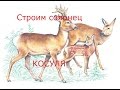 Строим солонец.Косуля.