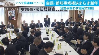 来年7月の都知事選　自民都連の候補者選びは難航(19/12/23)