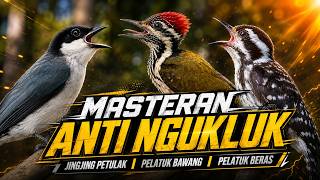 MATERI SUSUN MESIN JAHIT PANJANG JINGJING PETULAK PELATUK BAWANG SAMBUNG PELATUK BERAS