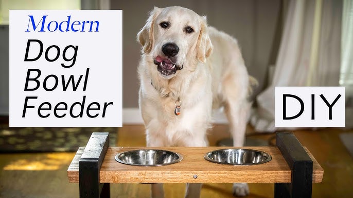 Help Your Dog Eat Easier with a Simple Elevated Bowl Holder 