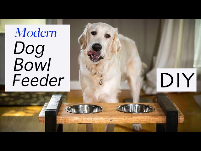 DIY Dog Bowl Chairs { Elevated Feeding Station } - the DIY village