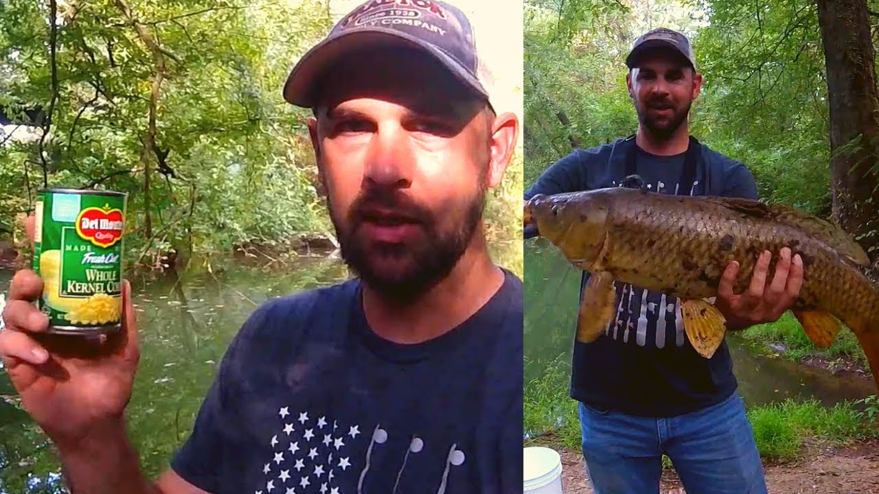 Does Uncooked Corn KILL Carp? (Prove Me Wrong) - Carp Fishing 