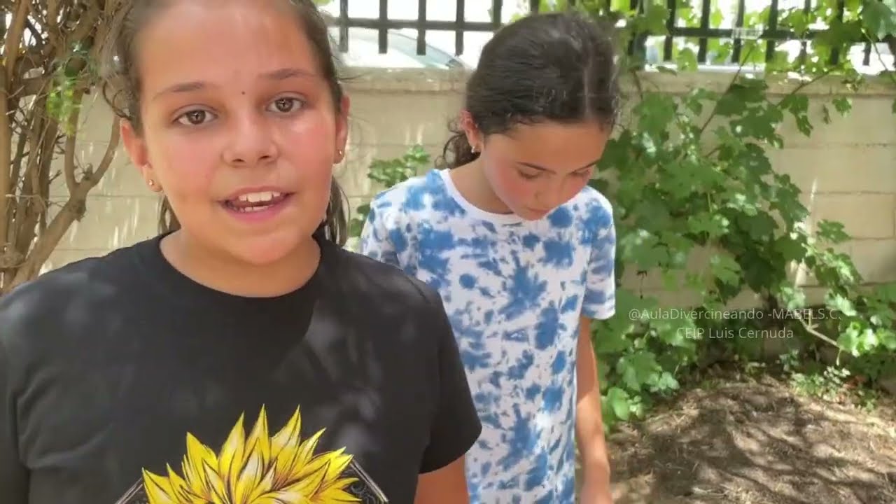 TALLERES IMPULSA III -HUERTO ESCOLAR 2021-22