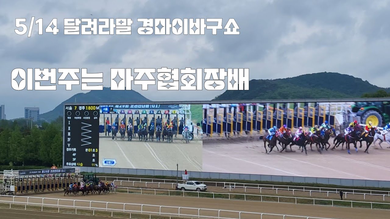 경마가 마추면쉽고 못마추면 어렵읍니다 (이번주는 마주협회장배)