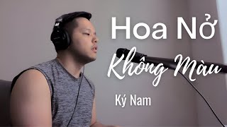 HOA NỞ KHÔNG MÀU | HOÀI LÂM | KÝ NAM COVER