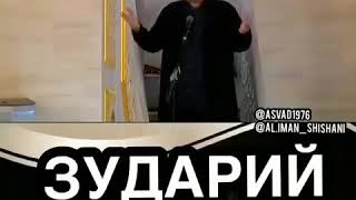 Зудри сий хилар