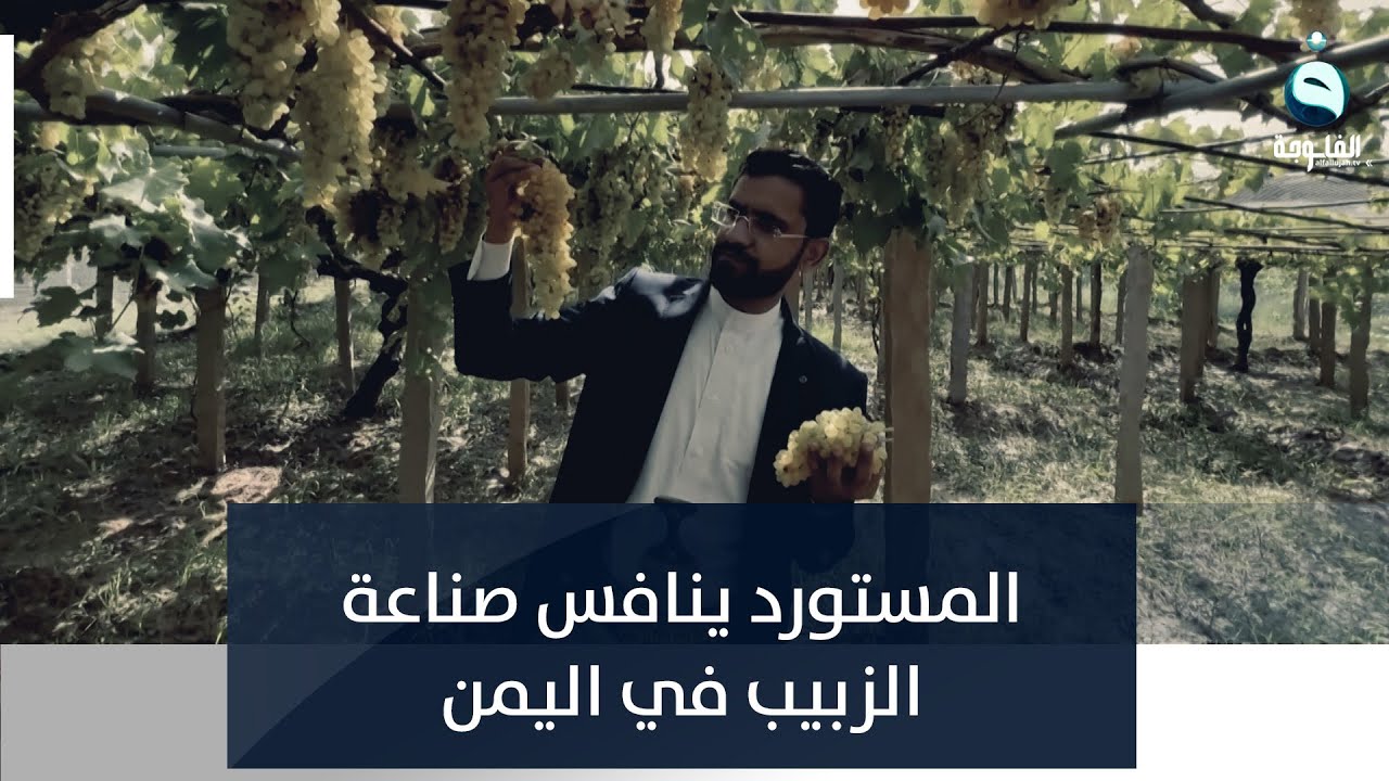 صناعة الزبيب في اليمن تواجه منافسة شرسة من المسترود