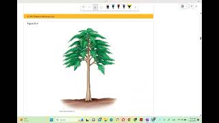Chapter 30: Plant diversity II (بالعربي)