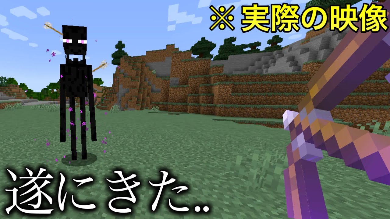 マイクラ】実はエンダーマンに矢をぶっ刺す方法が存在してました