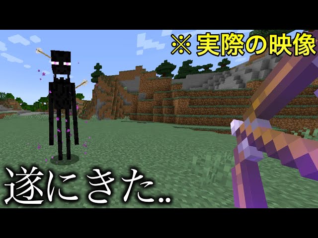 [マイクラ][スプラトゥーン]ウォーデン スノーマン ハチ アレイ エンダーマン マイクラ】実はエンダーマンに矢をぶっ刺す方法が存在してました