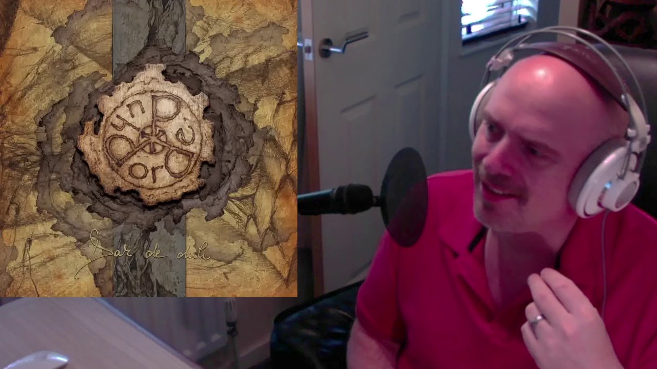 Dordeduh - Pândarul (Reaction)