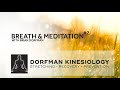 Breath  meditation with brian dorfman 2  nourishing the brain with the breath