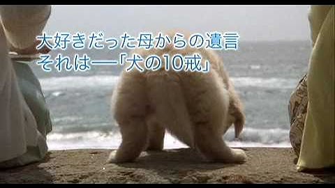 映画「犬と私の10の約束」予告編 （高画質版）