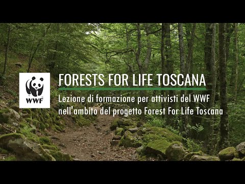 Progetto WWF Forest For Life Toscana