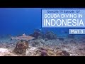 Diving in Raja Ampat - The Best Diving In The World