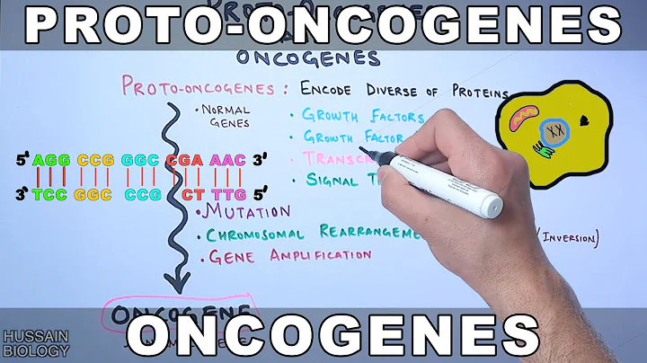 Proto-Oncogenes and Oncogenes