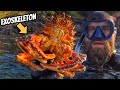 Types of Skeletons Quiz