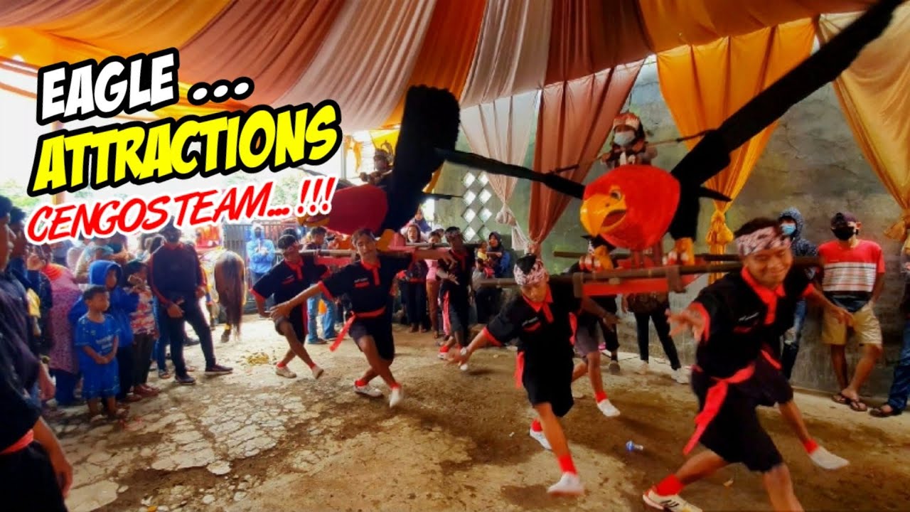 CUTA MUDA ATRAKSI RAJAWALI ❗❗ NAIK MANUK RAJAWALI KUDA RENGGONG CUTA MUDA 💥 PADARANGKUNG CENGOS TEAM