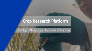 Crop Research Platform