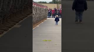 Waiting For Dad Little Boy Looks For His Soldier Father