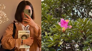 Download lagu autumn diaries: soft mornings, solo date & slowing down