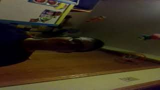 Vitanis Full Story Betraying Zira