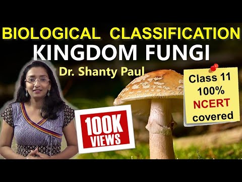 Kingdom Fungi | Biological classification lecture 4