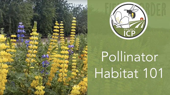 Pollinator Habitat 101: Incorporating Flowers on Farms to Support Bees