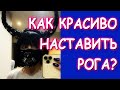 КАК КРАСИВО НАСТАВИТЬ РОГА? =))) ГОТОВИМСЯ К НОВОМУ ГОДУ