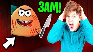 DO NOT PLAY POU AT 3AM!? (EVIL POU ATTACKED US)