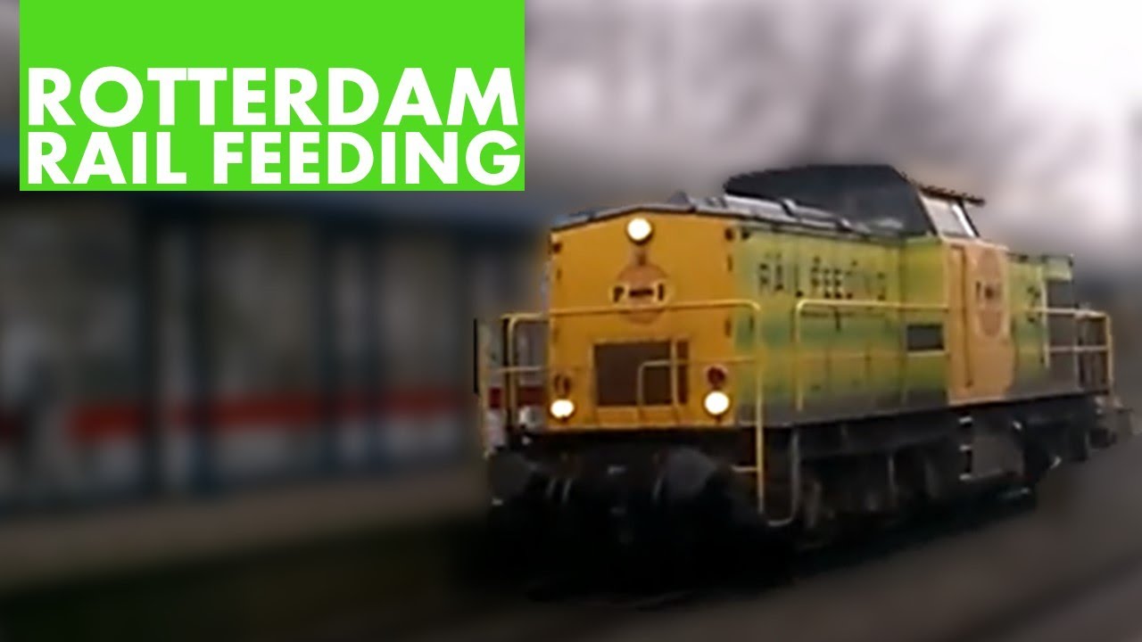 Rotterdam Rail Feeding 21 @Rotterdam Alexander