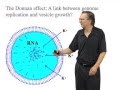 Alternative growth pathway for protocell membranes  - Jack Szostak (Harvard/HHMI)