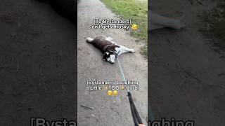 Ive Never Actually Had To Camp Out At The Park, But Ive Had More Than A Few Close Calls.