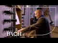 Bach - O Mensch, bewein dein Sünde gross BWV 622 - Wiersinga | Netherlands Bach Society