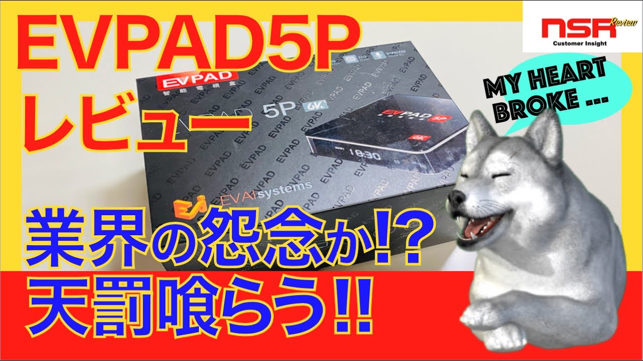 Episode 0] Can you watch channels from around the world?! EVPAD5P