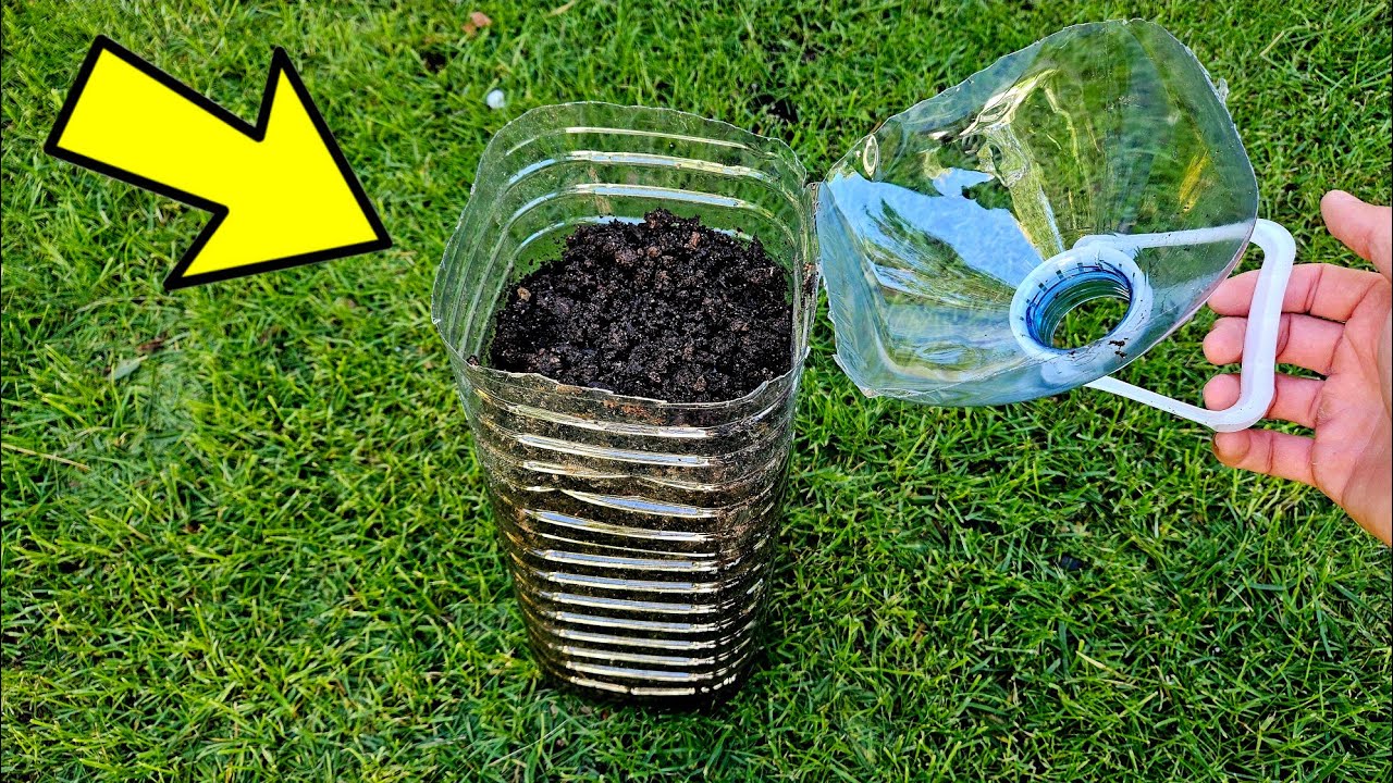Esta TIERRA REVIVE cualquier PLANTA (Solo Necesitas 1 Botella) Abono casero para Curar Plantas
