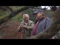 The magical bonsai world of 80 year old dan robinson