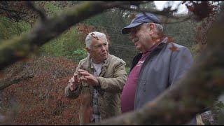 The Magical Bonsai World of 80 Year Old Dan Robinson