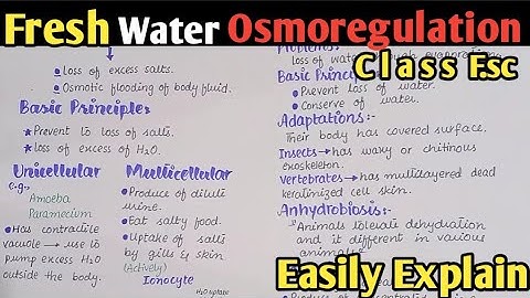 Osmoregulation In Fresh Water Fully Explained In Urdu Hindi | Class 12 Biology
