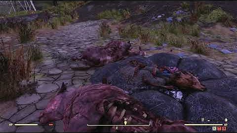 The Forest Region Object Random Encounter Hotspot #11 - Fallout 76