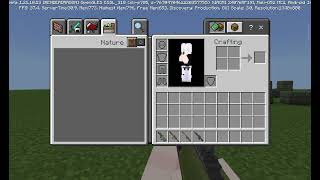 MINECRAFT # no magzines in guns on both players 