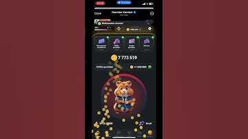 25 August Daily Cipher—Code for 1 m Coins Today | Hamster Kombat Daily Cipher,25 August Daily Cipher